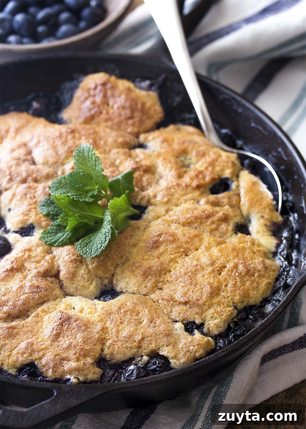 Blueberry skillet cobbler flavored with mint, cinnamon, and maple syrup, baked in a cast iron pan. A cast iron skillet full of baked blueberry cobbler with a serving spoon.