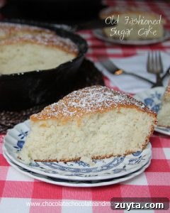 Vanilla French Toast with Homemade Strawberry Syrup 11 Old Fashioned Sugar Cake-no icing needed for this light and flavorful cake!