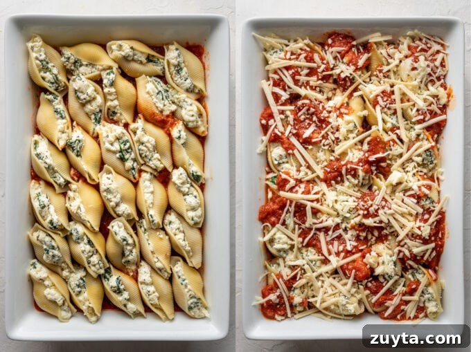 Creamy Spinach and Ricotta Stuffed Shells Recipe 5 Jumbo shells stuffed with spinach and ricotta, then coated with marinara sauce and more mozzarella cheese.