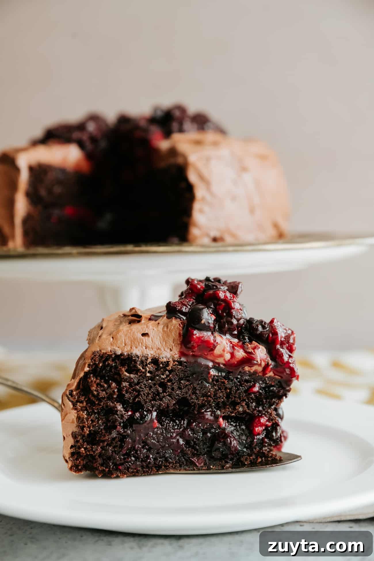 Double Chocolate Cake with Roasted Berries and Mocha Frosting 6 close up shot of a single slice of double layered chocolate cake with roasted berries and mocha buttercream to show the moist texture of the cake.