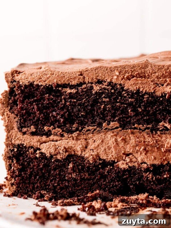 picture of chocolate cake on a plate