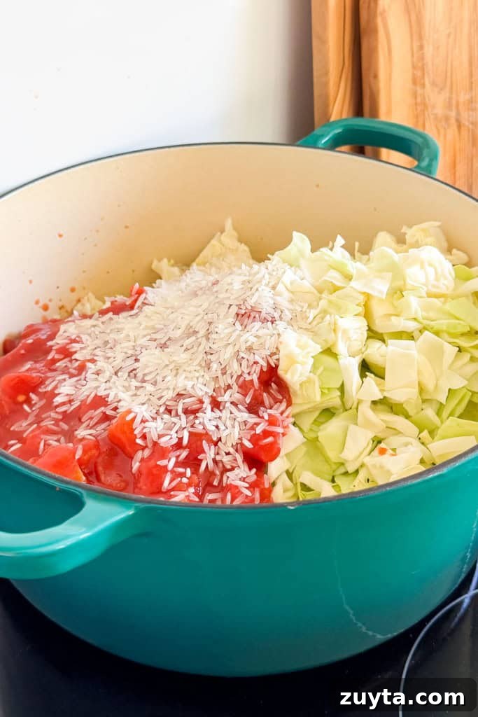 Spicy Chipotle Ground Beef and Cabbage Casserole Recipe 7 Cabbage, rice and tomatoes added to the pot.