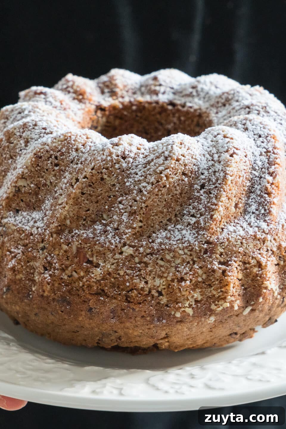 Decadent Moist Red Wine Cake Recipe 5 autumn bundt cake