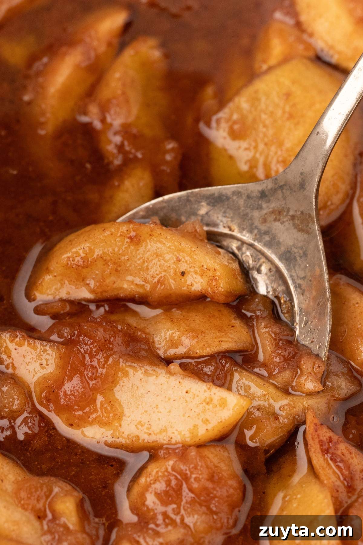 Crockpot Fried Apples with Cinnamon and Brown Sugar 2 finished cooked apples in spiced syrup