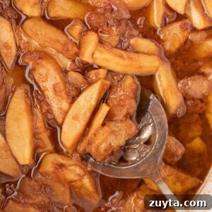 Crockpot Fried Apples with Cinnamon and Brown Sugar 8 closeup fried apples being spooned out of slow cooker