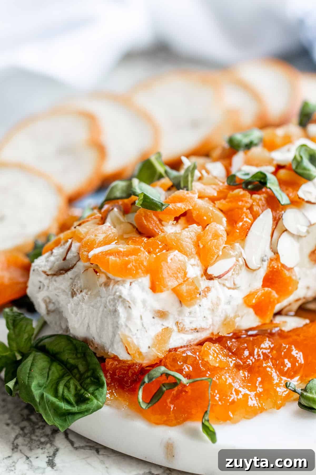 Honey Apricot Goat Cheese Log with Toasted Almonds 2 Close up of goat cheese log on white platter and crackers background.