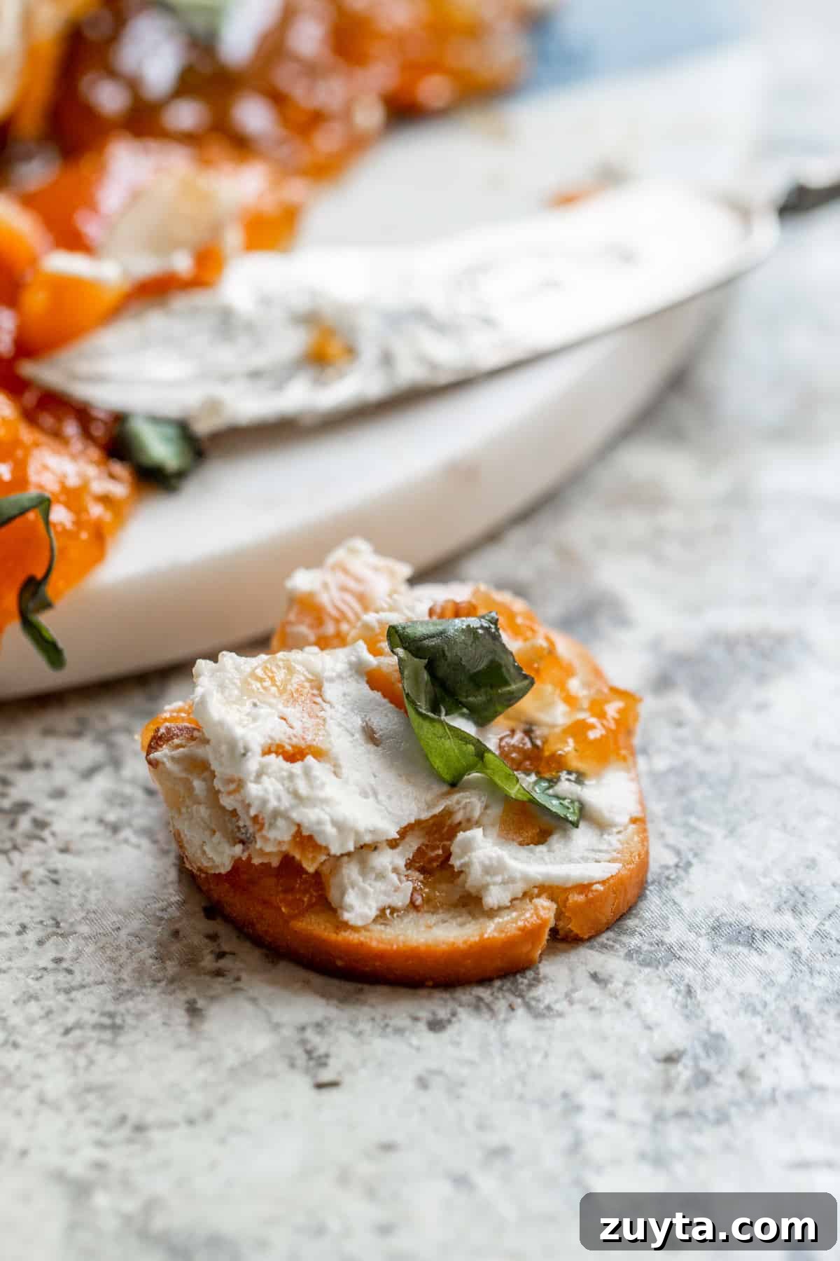 Honey Apricot Goat Cheese Log with Toasted Almonds 7 Cheese smeared on cracker.