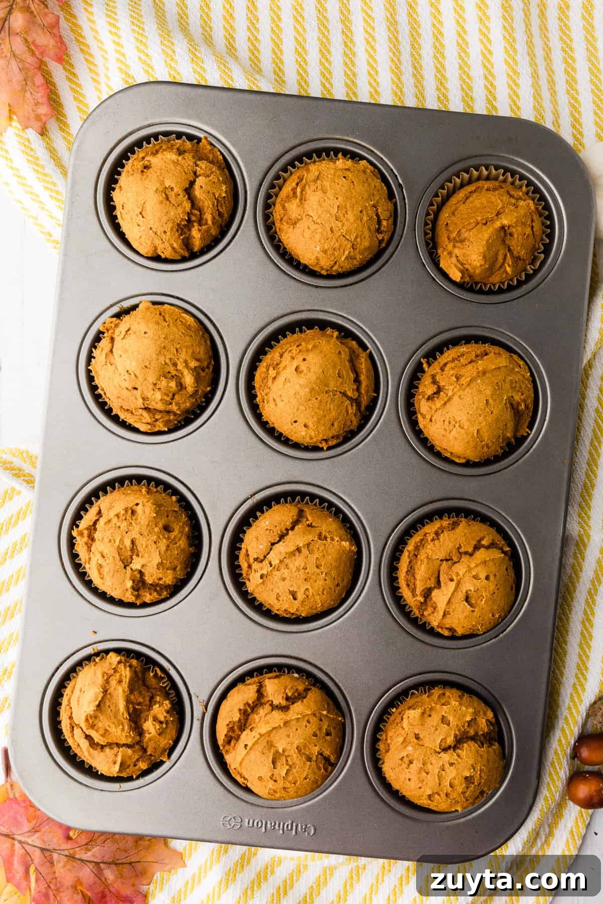 2-Ingredient Pumpkin Muffins Recipe 6 muffins after baking