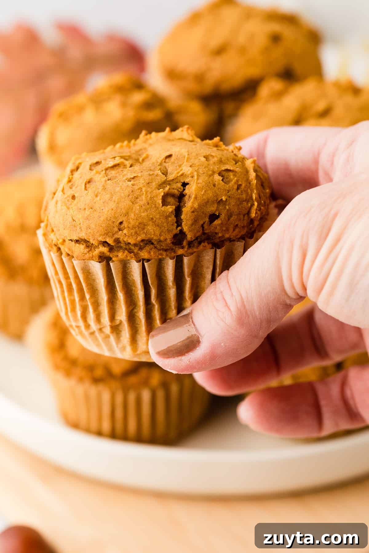 2-Ingredient Pumpkin Muffins Recipe 7 a perfectly baked pumpkin muffin