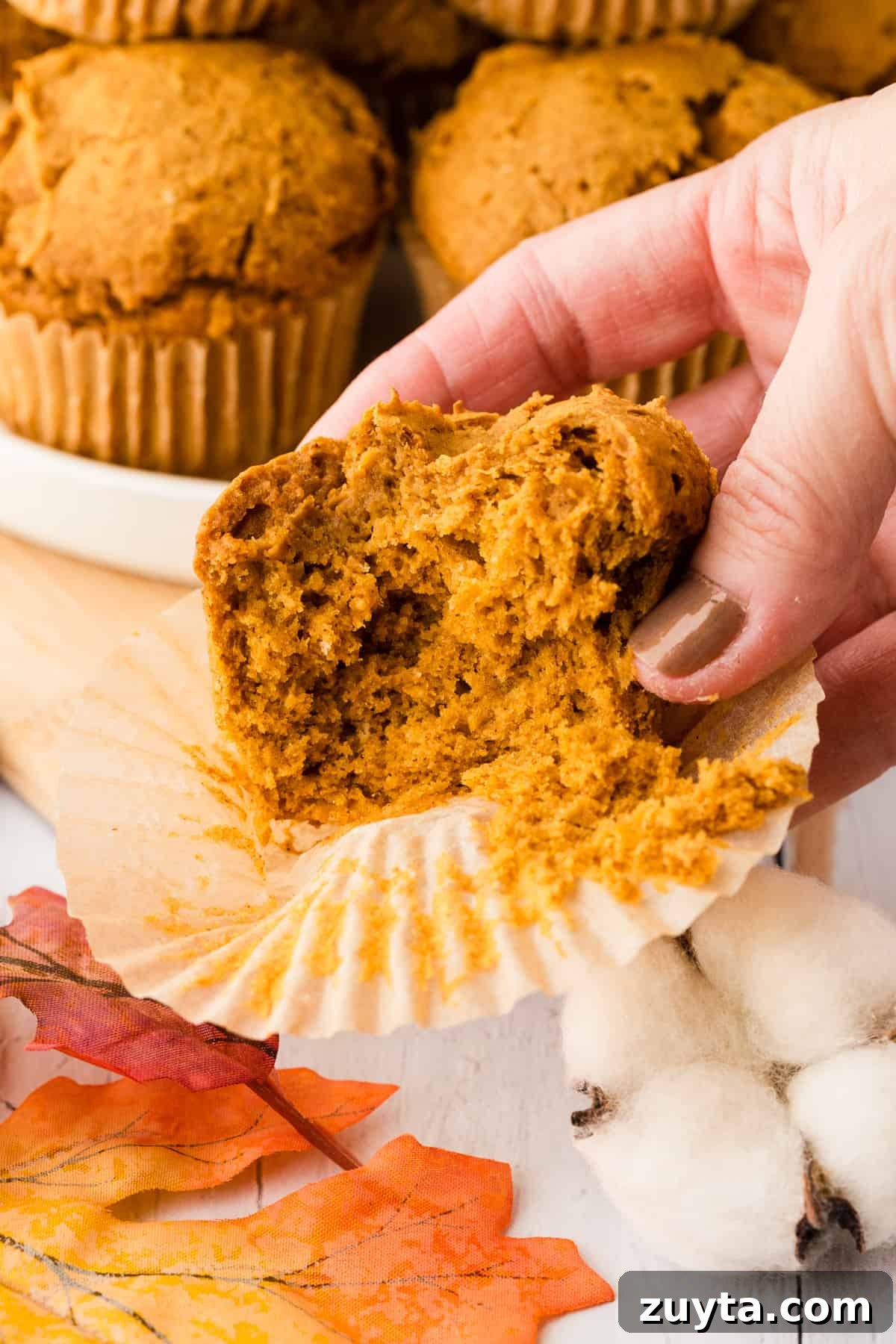 2-Ingredient Pumpkin Muffins Recipe 8 a muffin half eaten