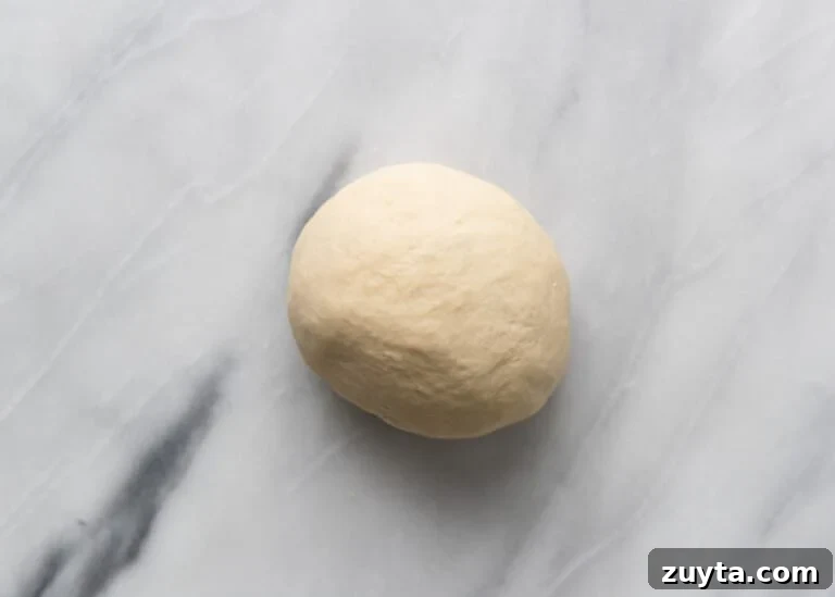 How to Make Naan at Home: Authentic Indian Flatbread 7 kneaded naan dough ball