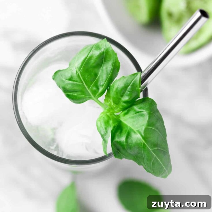 Overhead view of a basil mojito garnished with fresh basil leaves.