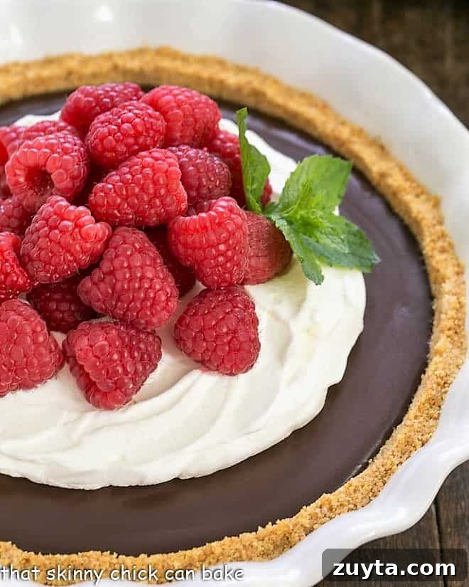 Dark Chocolate Pie Recipe - Dreamy chocolate filling in a graham cracker crust! Close view of the chocolate pie topped with whipped cream and berries and garnished with a sprig of mint.