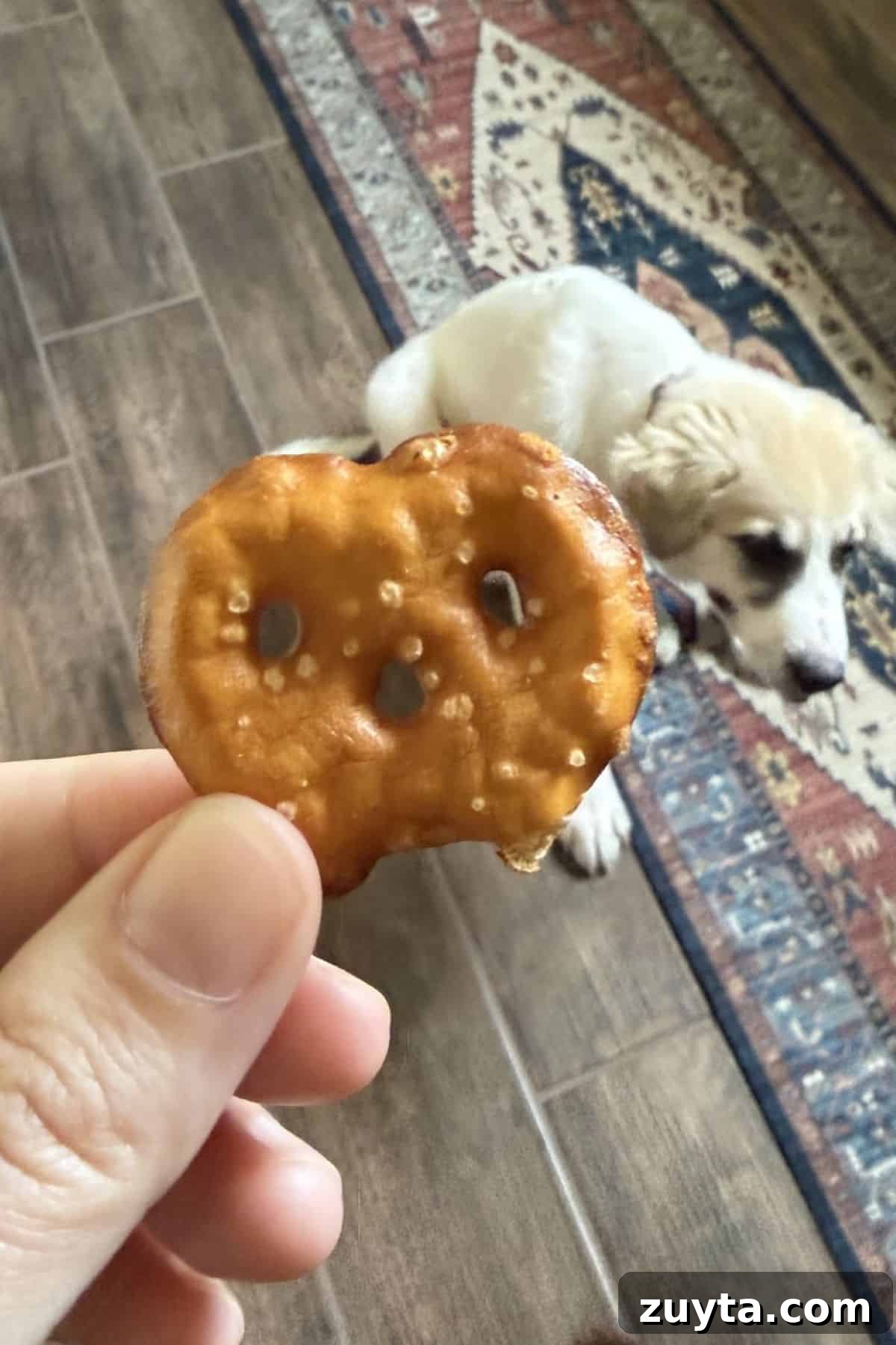 snack factory gluten free pretzel crisps