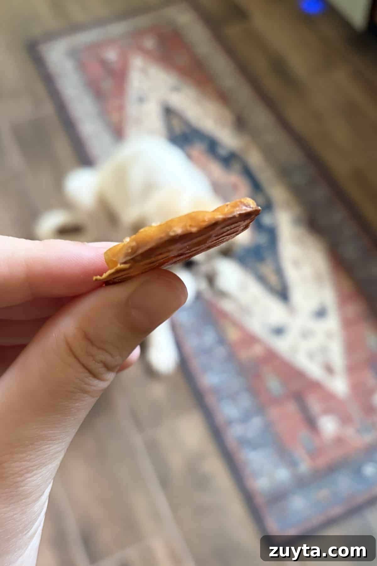snack factory gluten free pretzel crisps side view