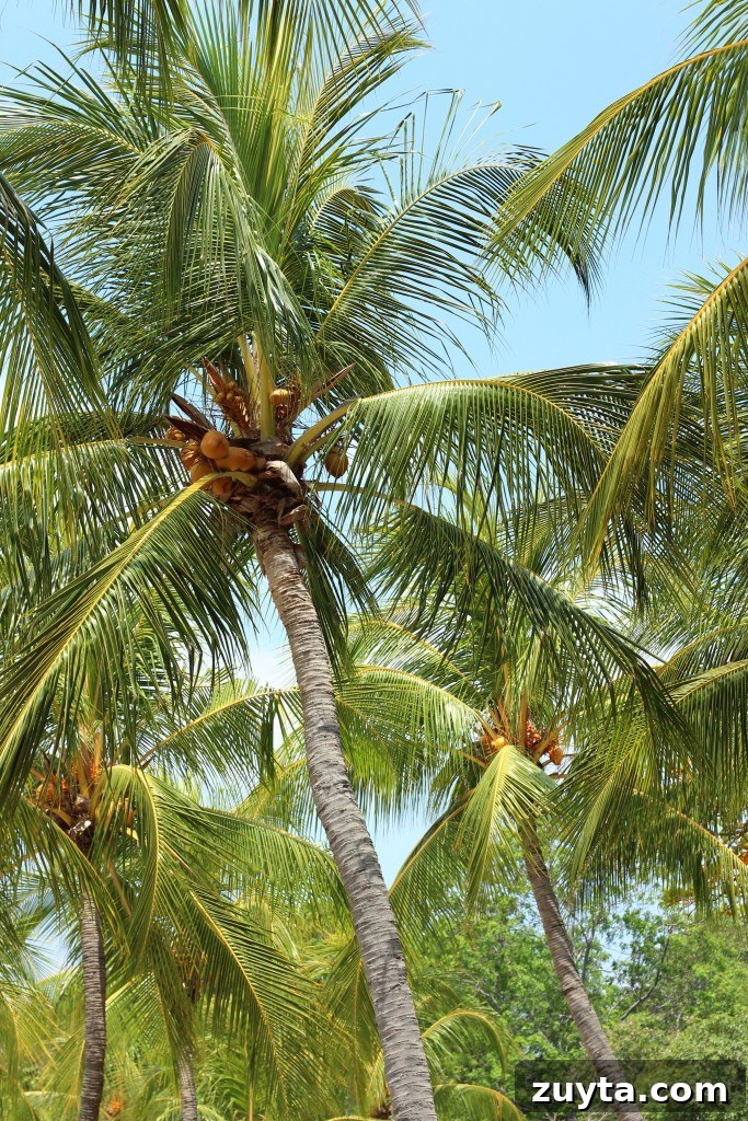 East Coast Park