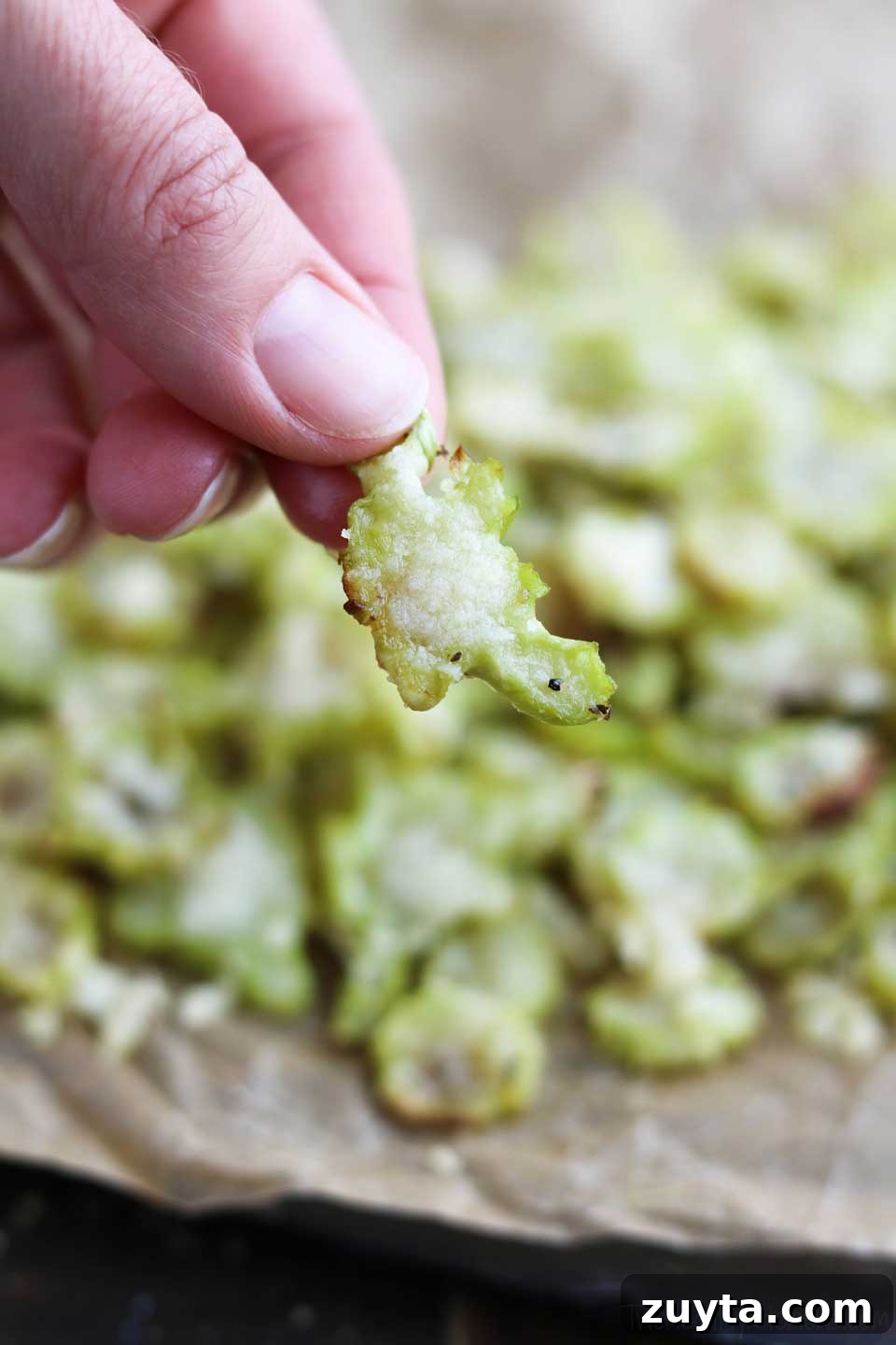 A lucky pepper speck turned this into a turtle! Turtle-shaped broccoli chip