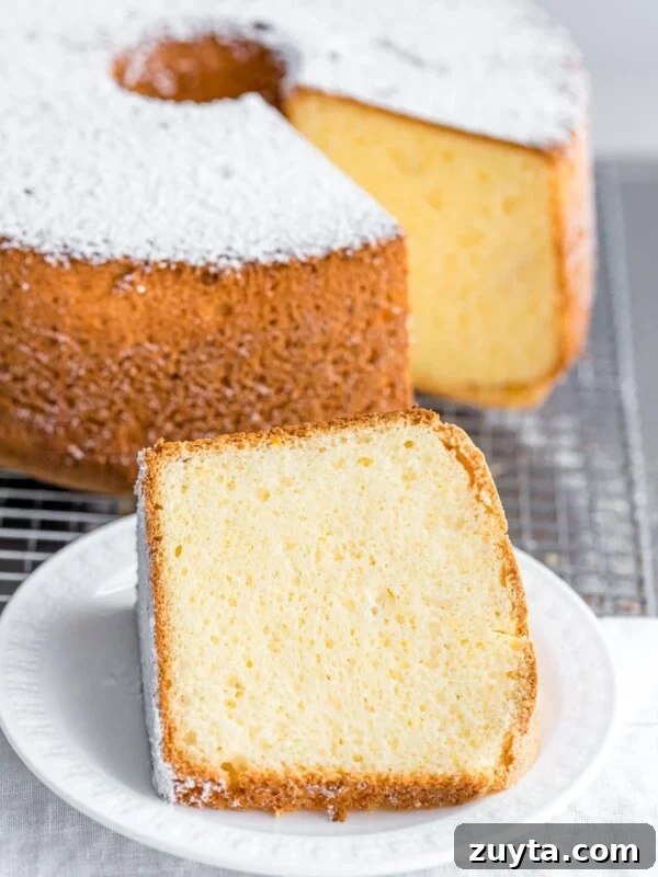 Fluffy Chantilly Cake with Fresh Berries Recipe 12 a slice of fluffy vanilla chiffon cake