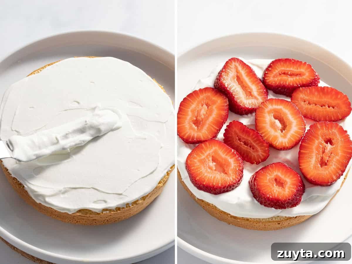 Fluffy Chantilly Cake with Fresh Berries Recipe 9 Chantilly cake layered with mascarpone whipped cream and strawberries.