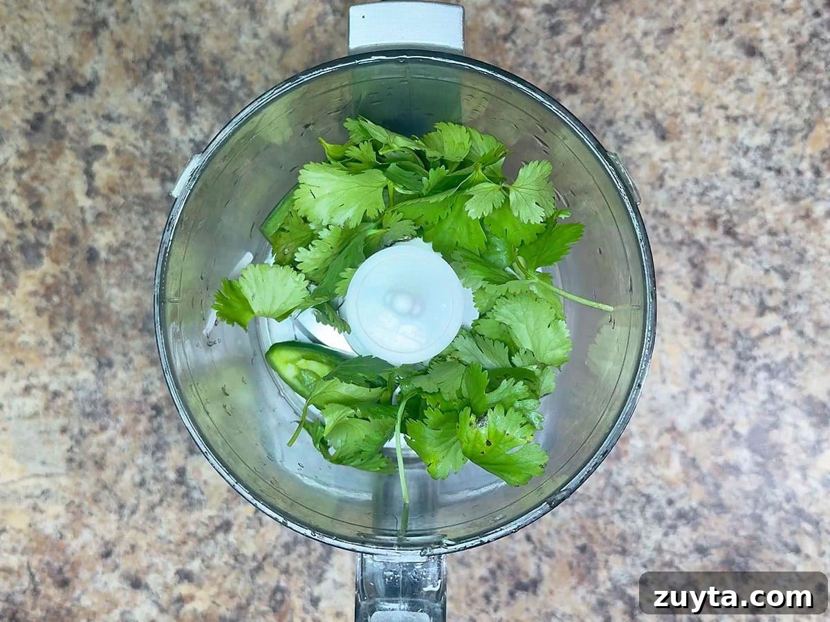 Garden Fresh Salsa Recipe with Tomatoes and Herbs 13 Whole cilantro in a food processor.