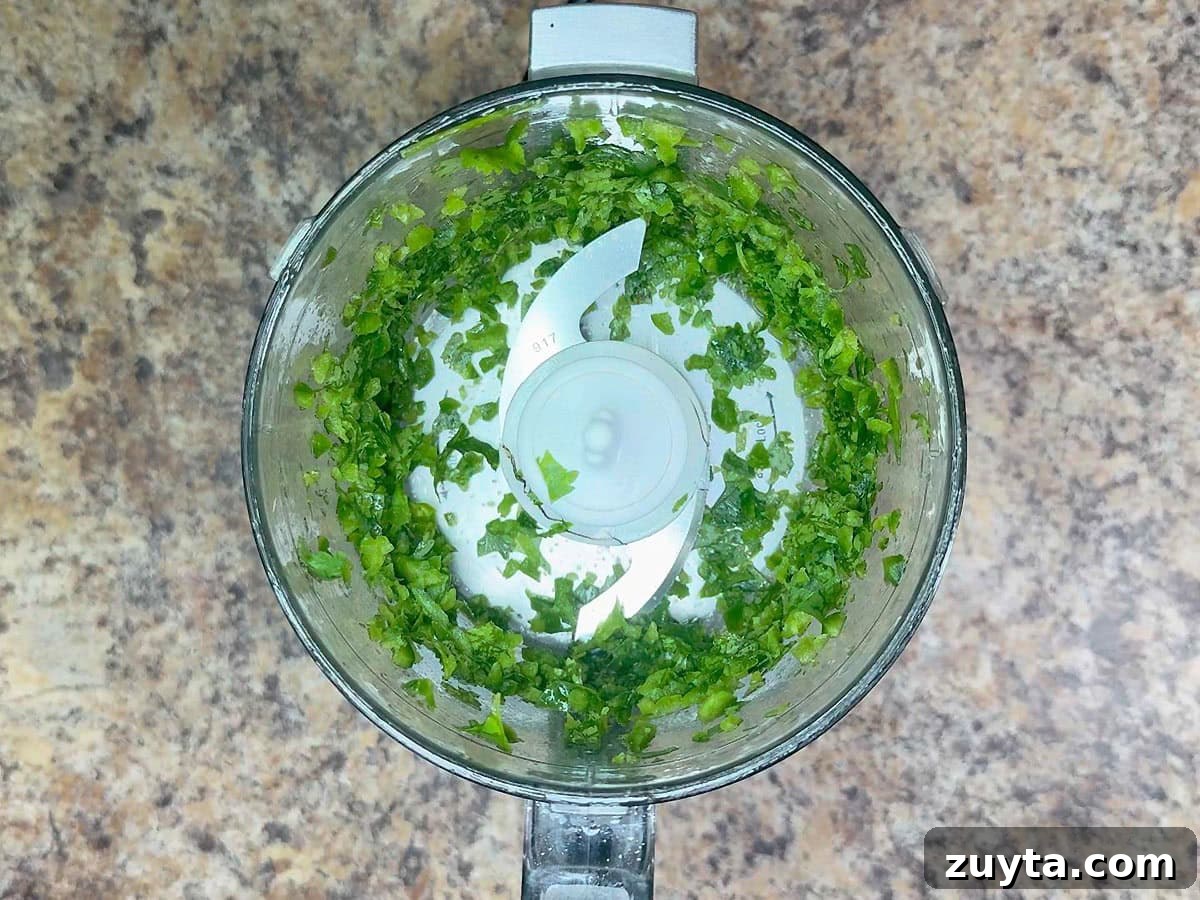 Garden Fresh Salsa Recipe with Tomatoes and Herbs 14 Chopped cilantro in a food processor.