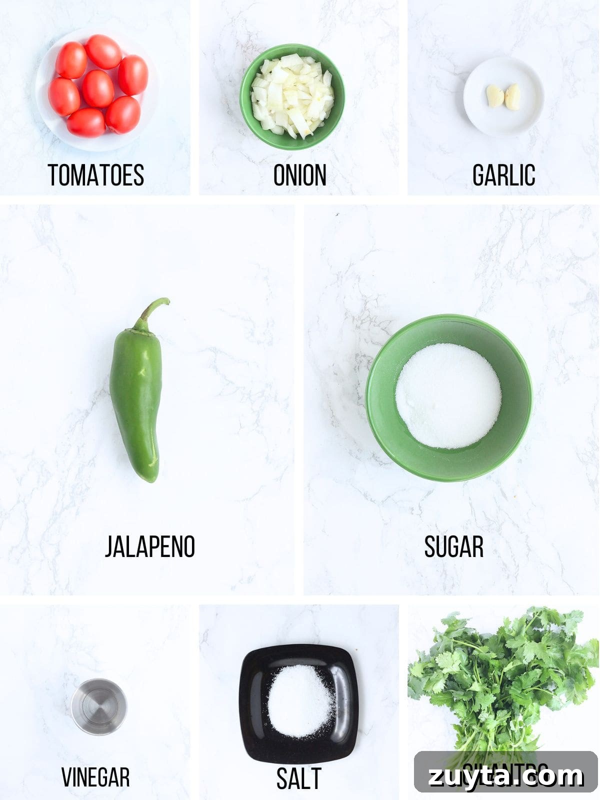 Garden Fresh Salsa Recipe with Tomatoes and Herbs 3 Collage of ingredients needed to make fresh garden salsa.