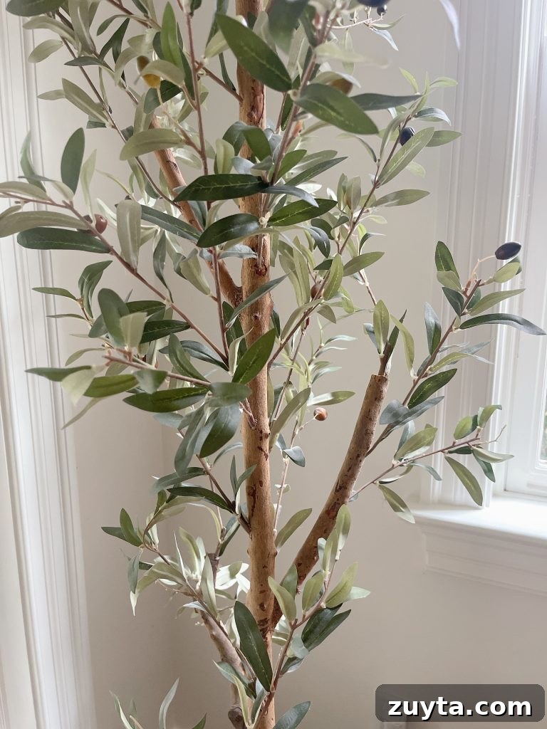 Must-Have Amazon Finds for June 12 amazon faux olive tree