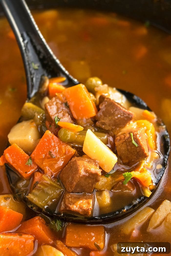 Ladle Full of Best Easy One Pot Beef Stew.