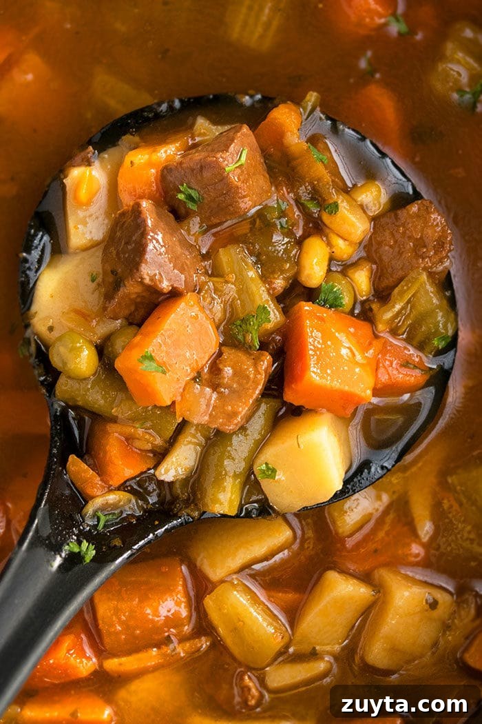 Easy Homemade Stew With Vegetables in Large Black Ladle.