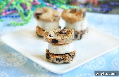 Nutritious Banana Recipes for Breakfast, Snacks and Desserts 17 chocolate chip banana bites