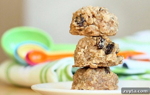 Nutritious Banana Recipes for Breakfast, Snacks and Desserts 18 breakfast cookies