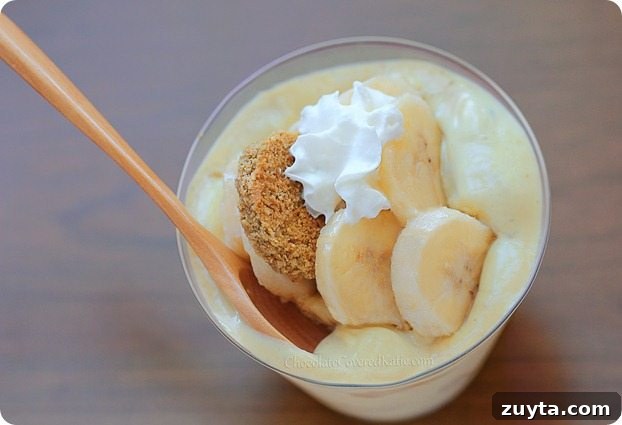 Nutritious Banana Recipes for Breakfast, Snacks and Desserts 3 banana pudding