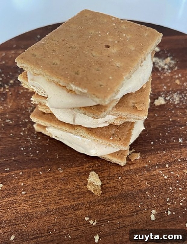 Frozen Peanut Butter Cookie Sandwiches Recipe 5 Frozen peanut butter sandwich ready to serve