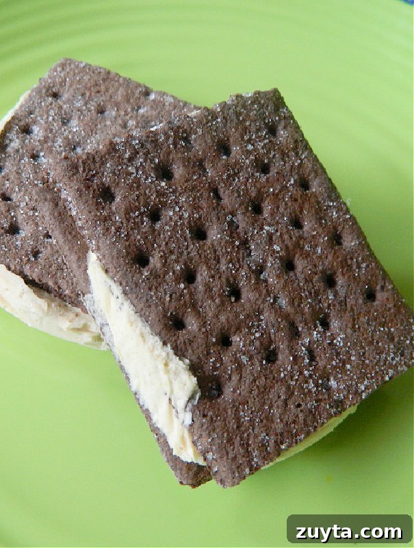 Frozen Peanut Butter Cookie Sandwiches Recipe 6 Chocolate graham cracker sandwich