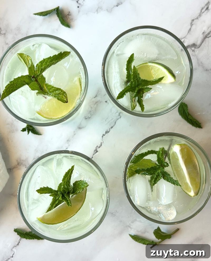 Virgin Mojito Recipe: Mint and Lime Mocktail 7 img 16125 6