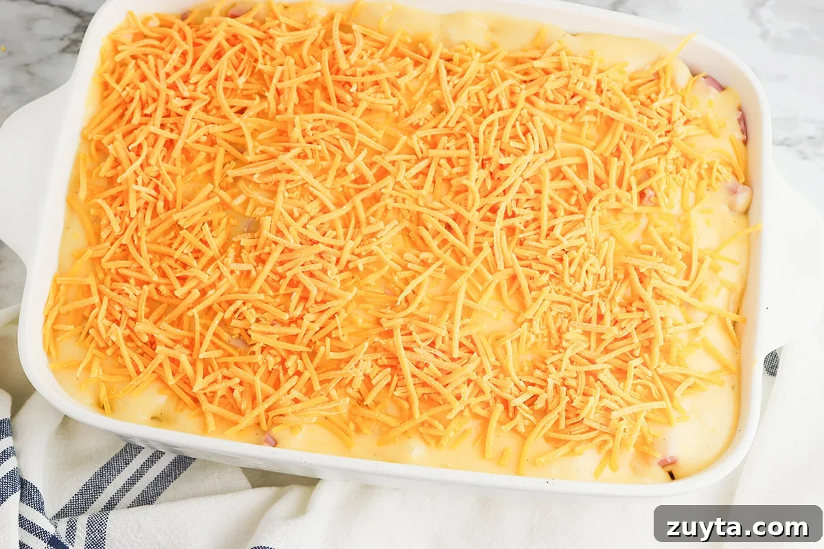 Creamy Cheesy Ham and Potato Casserole 11 Shredded cheese sprinkled over top of ham and potato casserole.