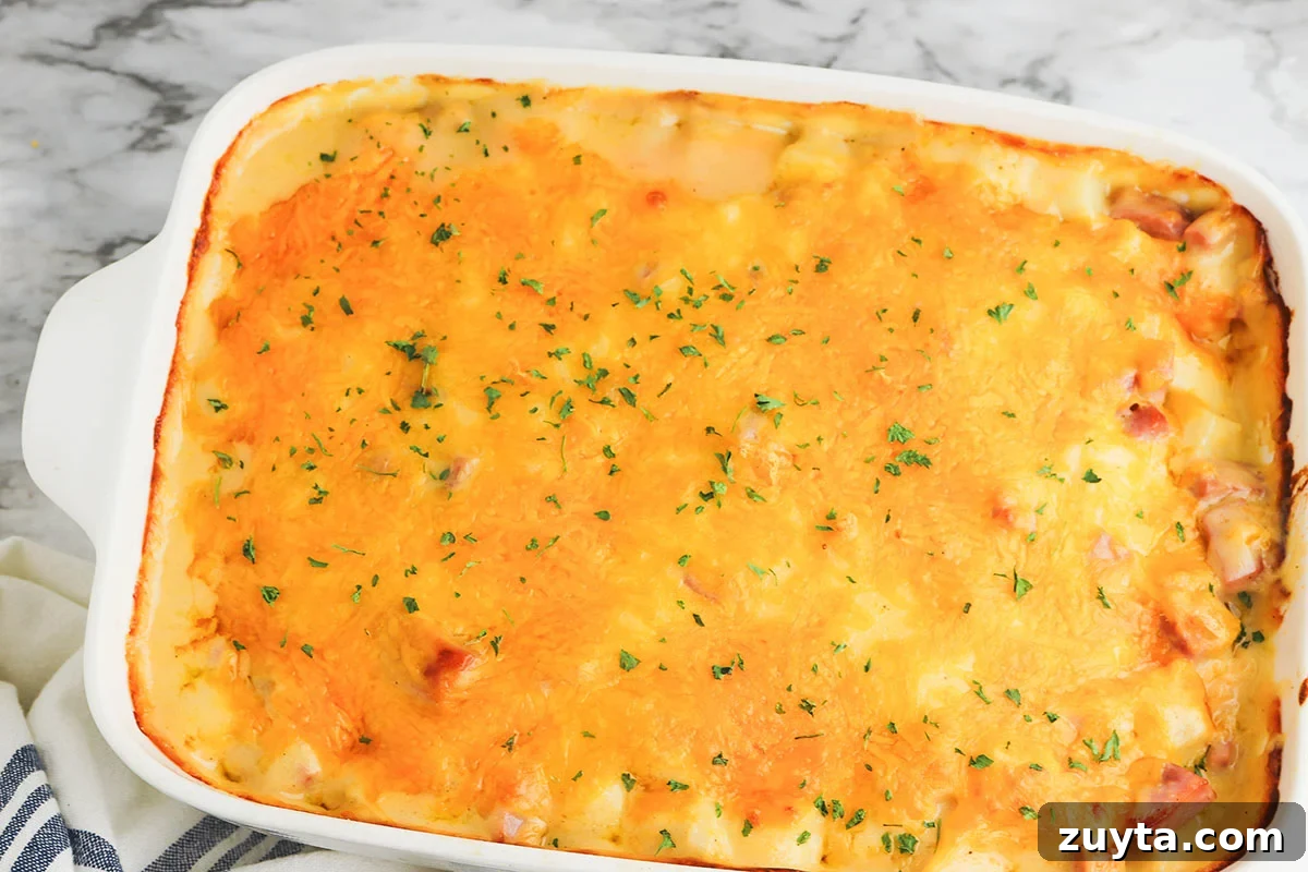 Creamy Cheesy Ham and Potato Casserole 12 Baked ham and potato casserole in casserole dish.