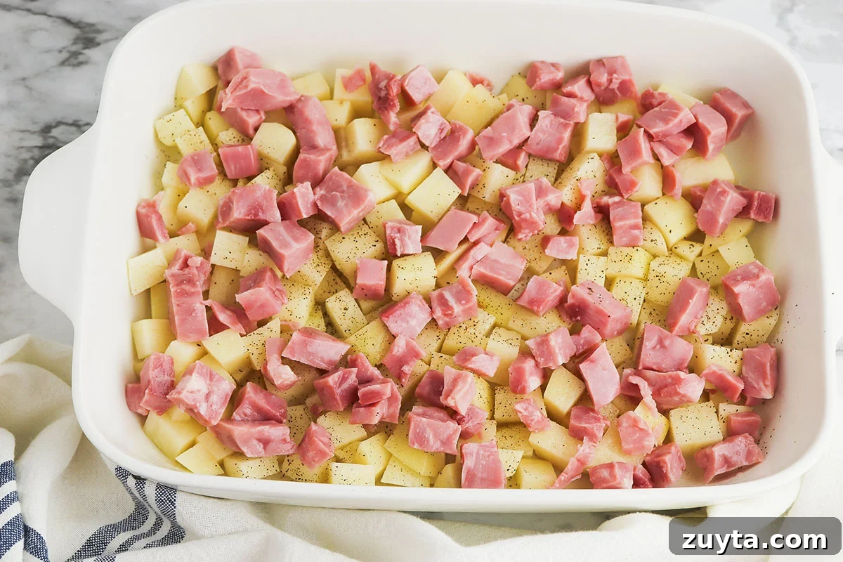 Creamy Cheesy Ham and Potato Casserole 5 Diced ham layered over diced potatoes in the casserole dish.