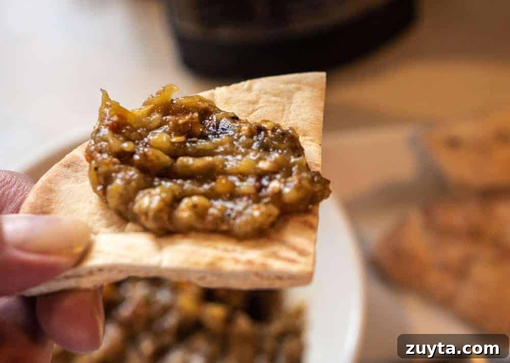 Authentic Creamy Roasted Eggplant Dip: Baba Ganoush Recipe 3 roasted eggplant dip on pita bread close up