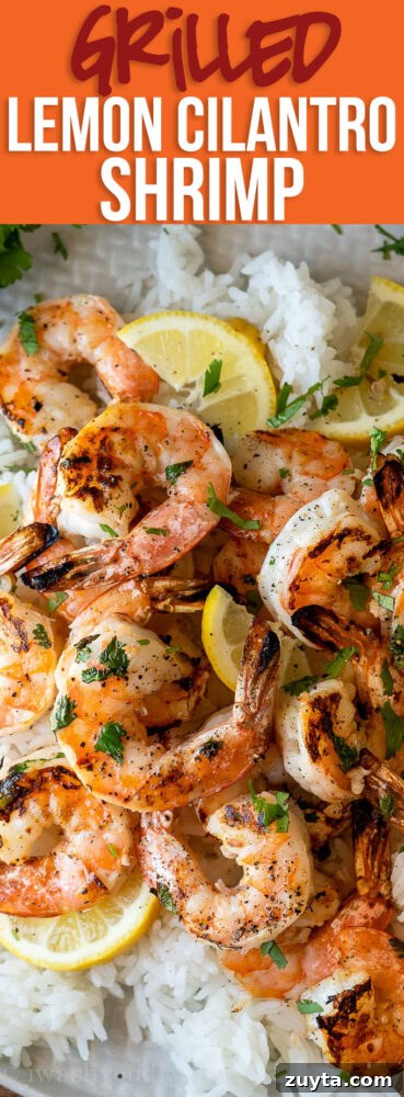 This Grilled Lemon Cilantro Shrimp Recipe is perfectly seasoned shrimp that are grilled up in minutes for a light and fresh Summer dinner.