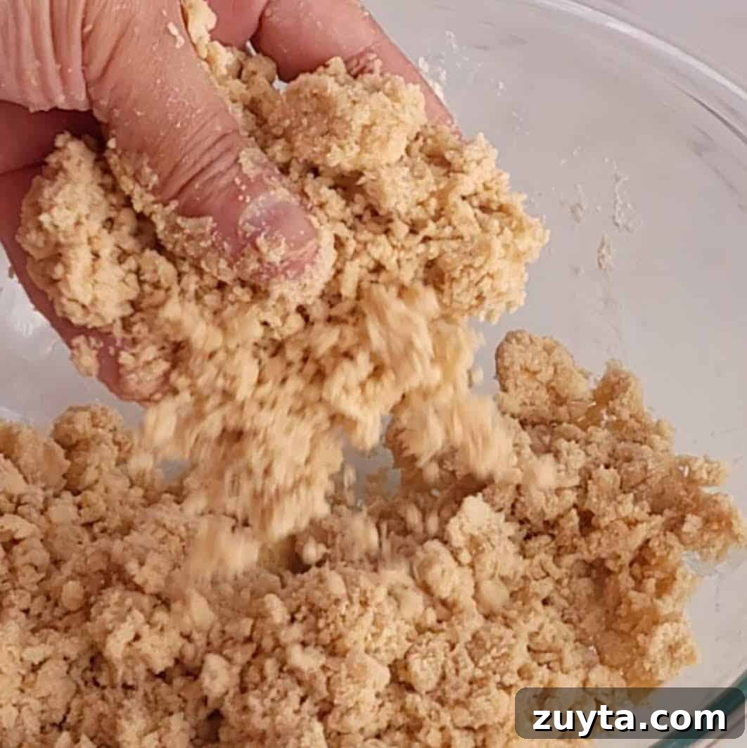 apple pie with graham cracker crust - step 2
