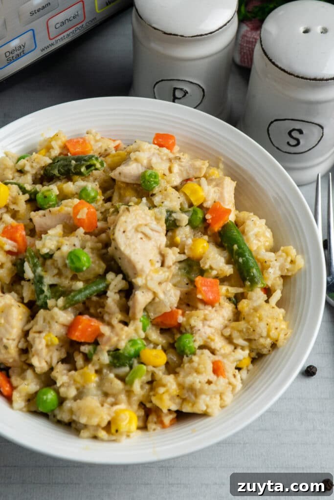 Slow Cooker Chicken and Rice with Frozen Vegetables 2 Overhead view of crockpot in a white bowl.