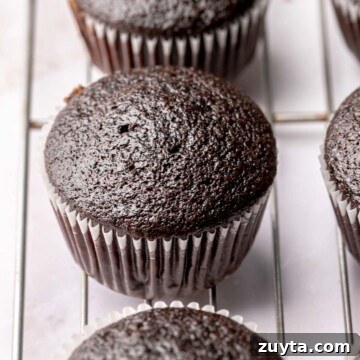 Chocolate cupcakes on a wire rack.