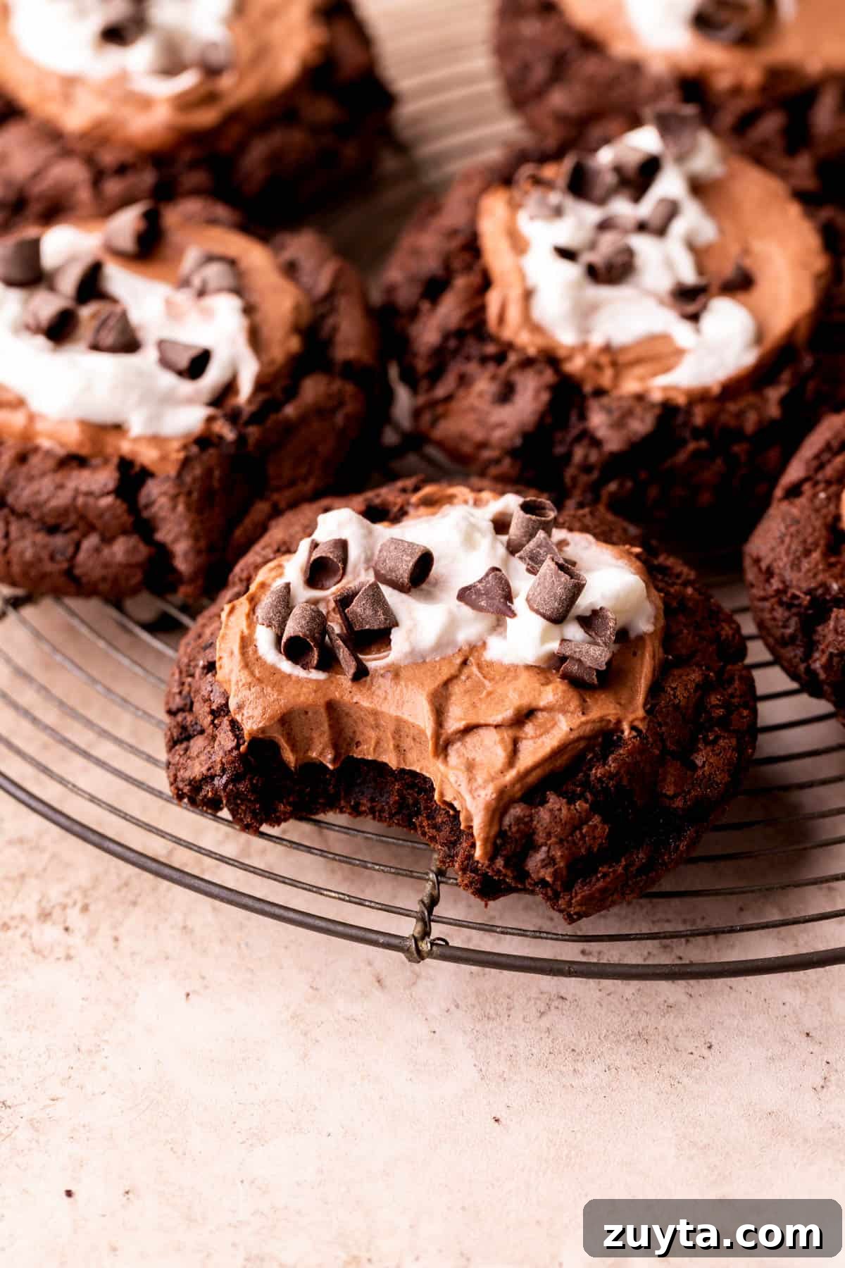 Bite missing from french silk pie cookies.