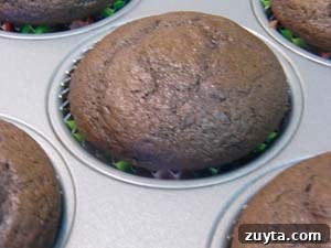 Decadent Gluten-Free Dark Chocolate Cupcakes Recipe 2 Gluten-free chocolate cupcakes
