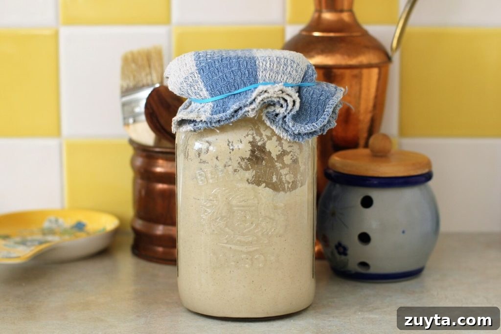 sourdough starter day 3