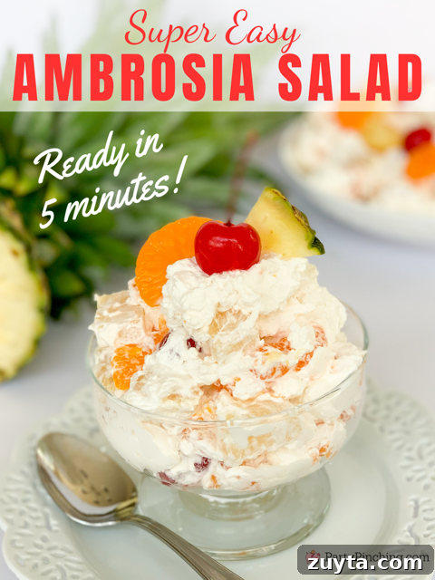 Classic Cottage Cheese Jello Salad Recipe 11 super easy best ambrosia salad, best retro vintage recipes, fruit salad with Cool Whip, best potluck salad ideas, holiday salad Christmas Thanksgiving Easter, vintage ambrosia salad, mom's grandma's ambrosia salad