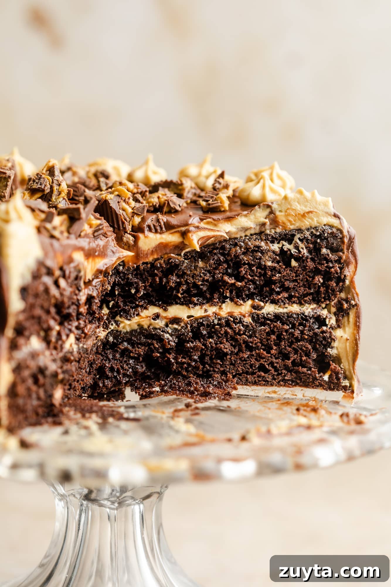 chocolate peanut butter cake with slices missing on a glass cake plate.