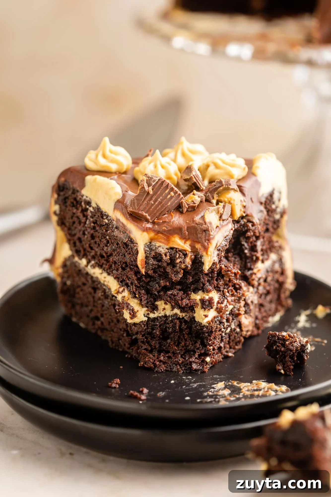 close up on a slice of chocolate peanut butter cake on a black plate.