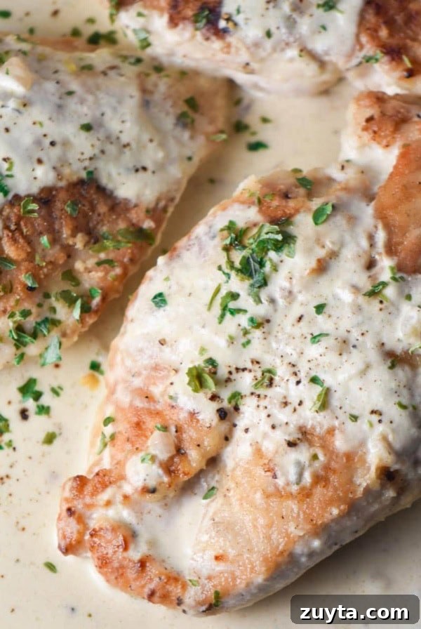 Creamy Boursin chicken on a plate with parsley.